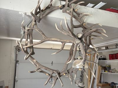 ElK Antler Chandelier