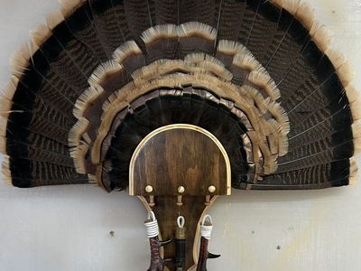 Turkey Art
