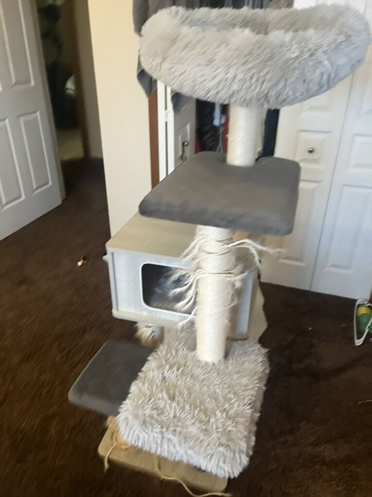 Cat Tree
