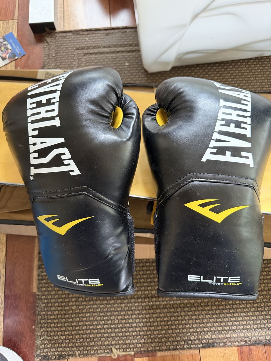 Everlast Elite Boxing Gloves