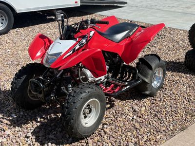 2020 Honda TRX 250 X