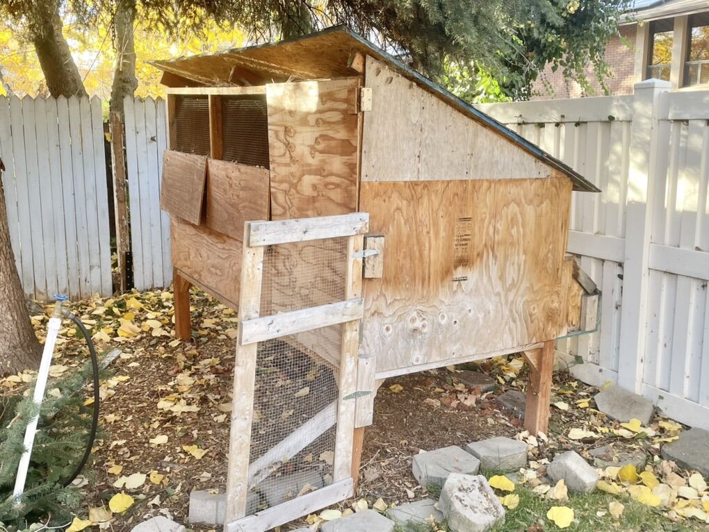 Large Solidly Built Wood Chicken Coop With Bedding