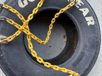 GoodYear Tire Swing
