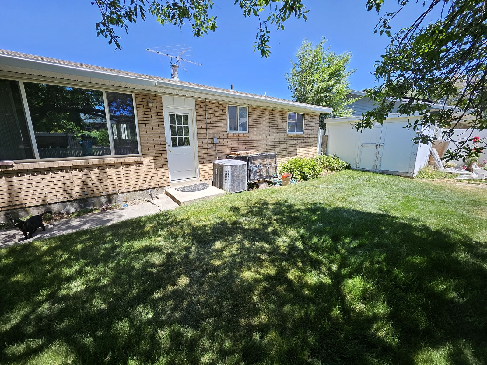 Main image 17