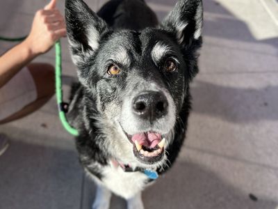 Hello my name is Tonita