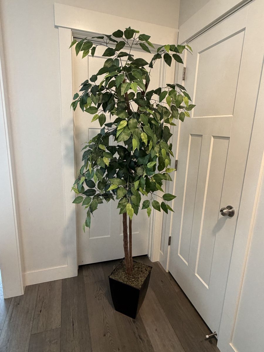 New - Various Faux / Artificial Trees $125 each