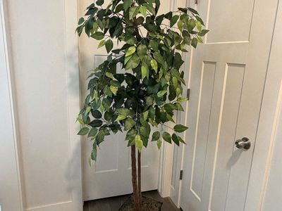 New - Various Faux / Artificial Trees $125 each
