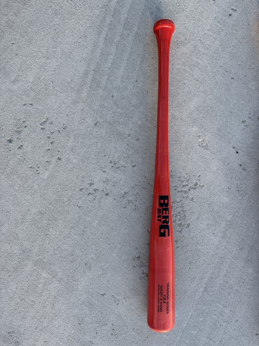 Fungo training bat