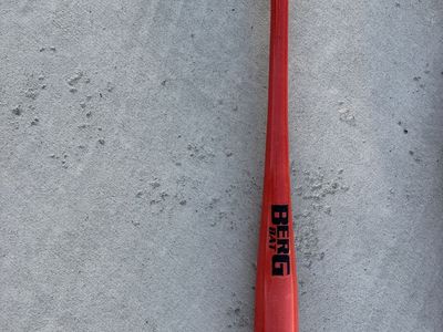 Fungo training bat