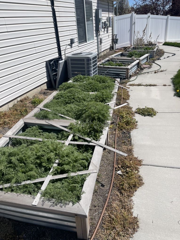 Weeds Removal 805-8164334