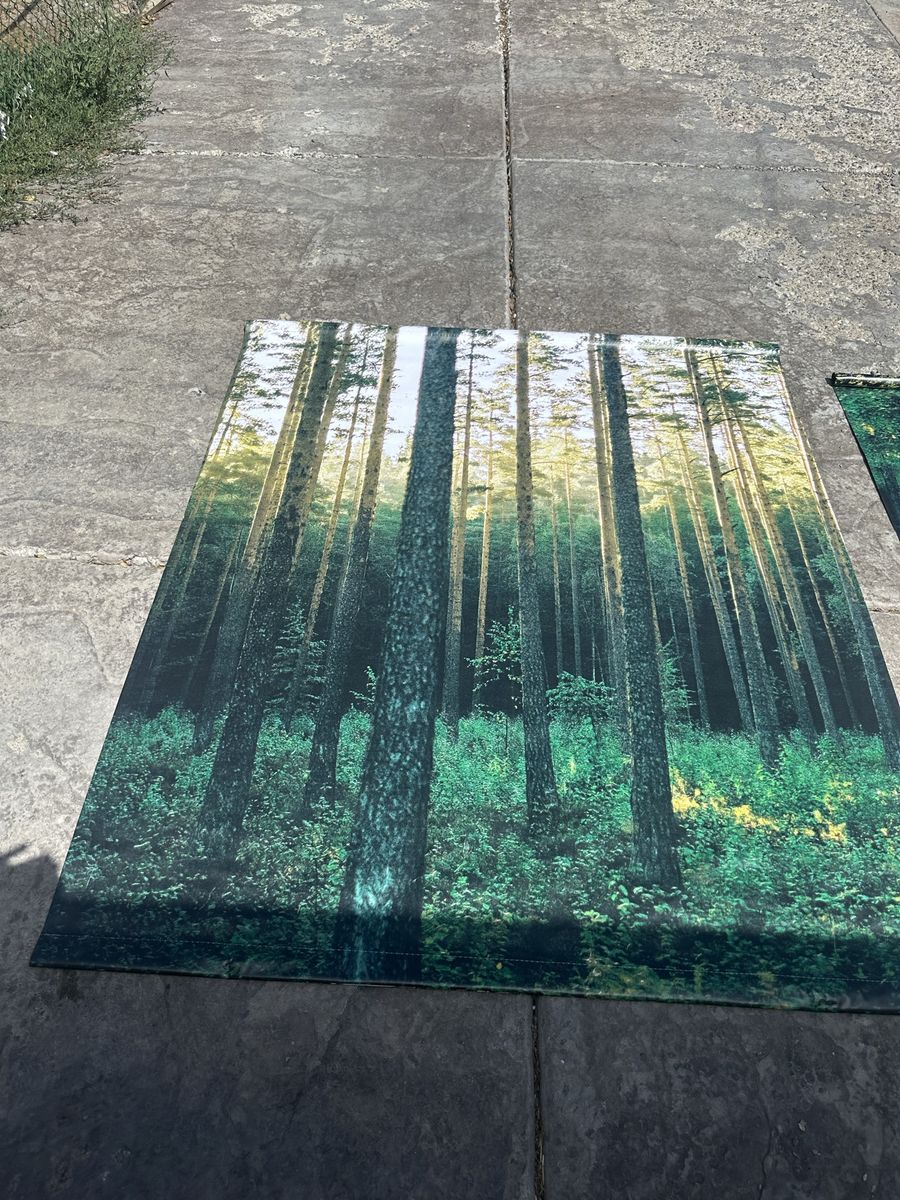 2 Forest/Mountain Lake Banners