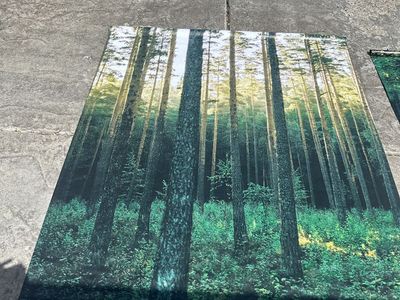 2 Forest/Mountain Lake Banners