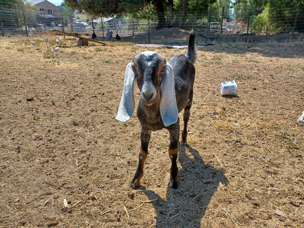 Main image 2