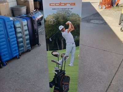 cobra 11 piece golf club set
