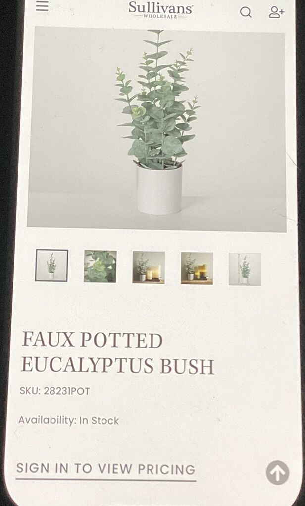 Fuax Potted Eucalyptus Bush 7 X 7 X 20.5