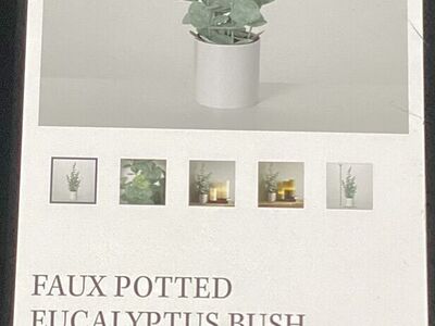Fuax Potted Eucalyptus Bush 7 X 7 X 20.5