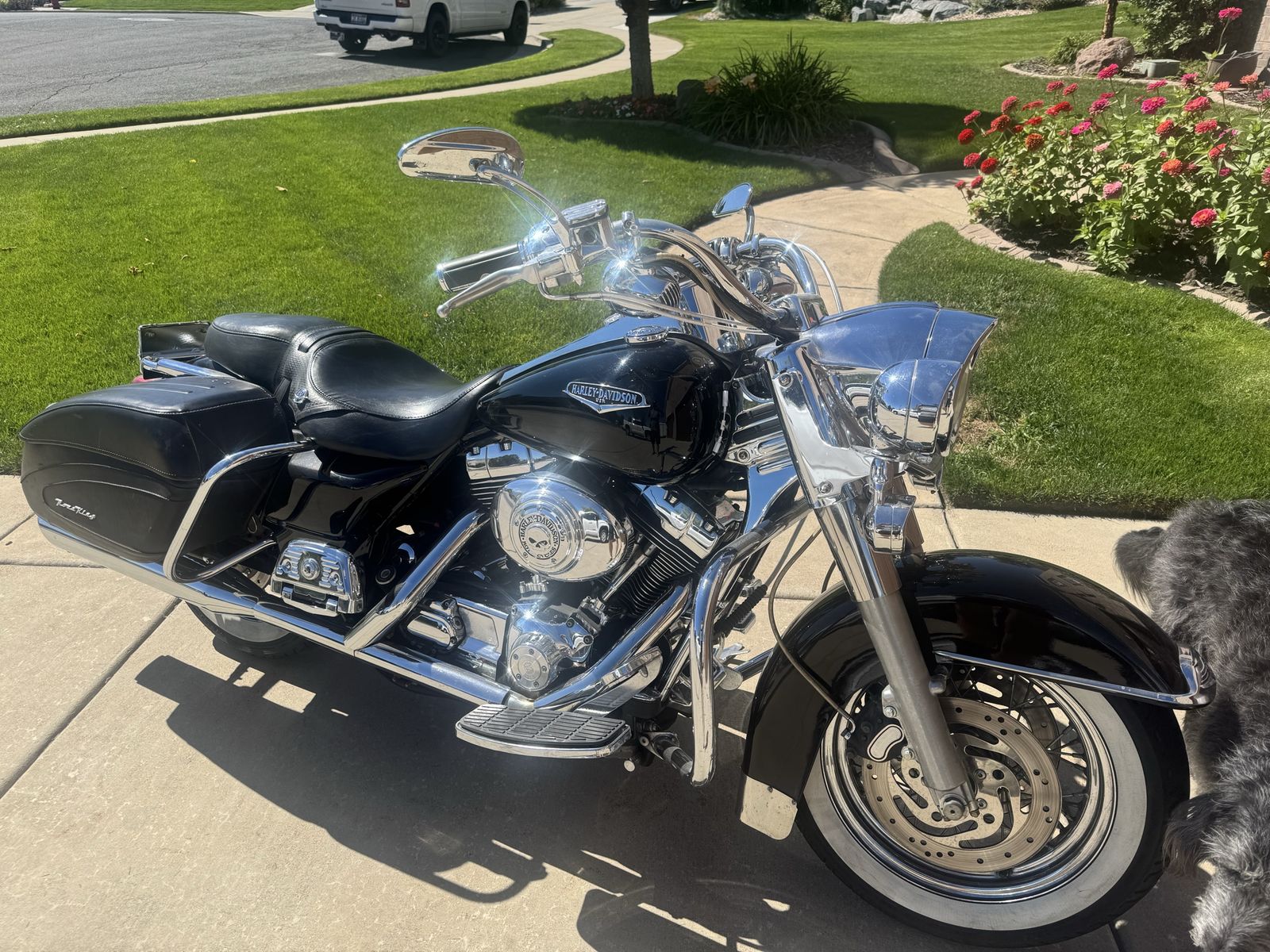 Harley Davidson