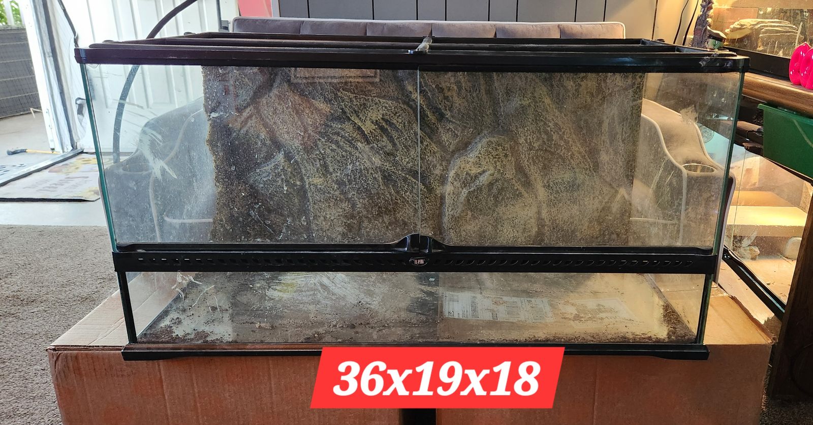 Front Opening Exo-Terra Terrarium with a 3d Styrofoam Rock background. Mesh screen lid
