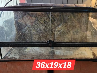 Front Opening Exo-Terra Terrarium with a 3d Styrofoam Rock background. Mesh screen lid