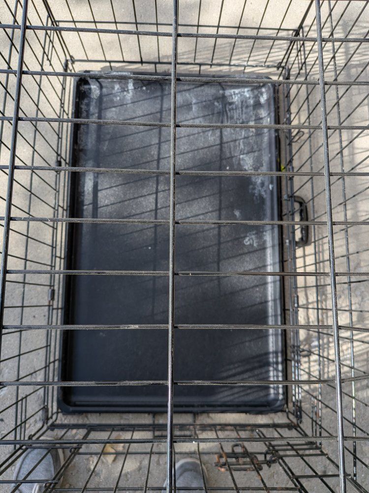 medium dog kennel
