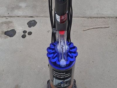 Dyson animal 2 origin