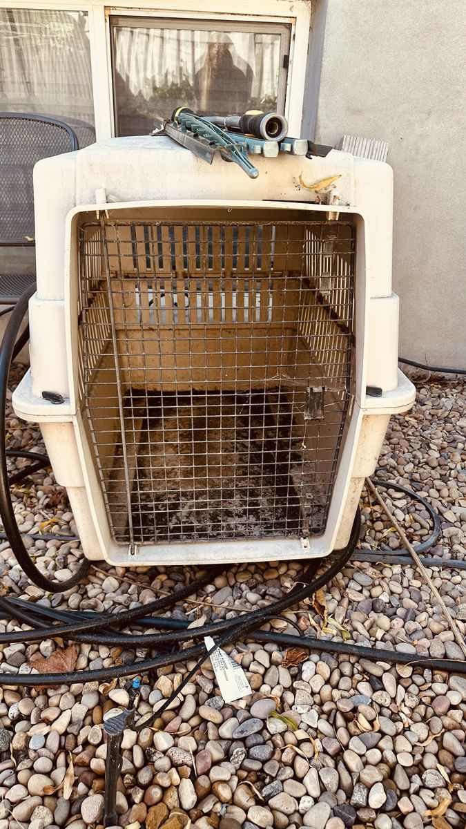 Large Plastic Pet Travel Crate Dog Kennel