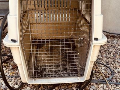 Large Plastic Pet Travel Crate Dog Kennel