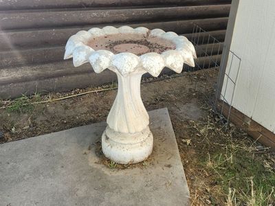 bird bath