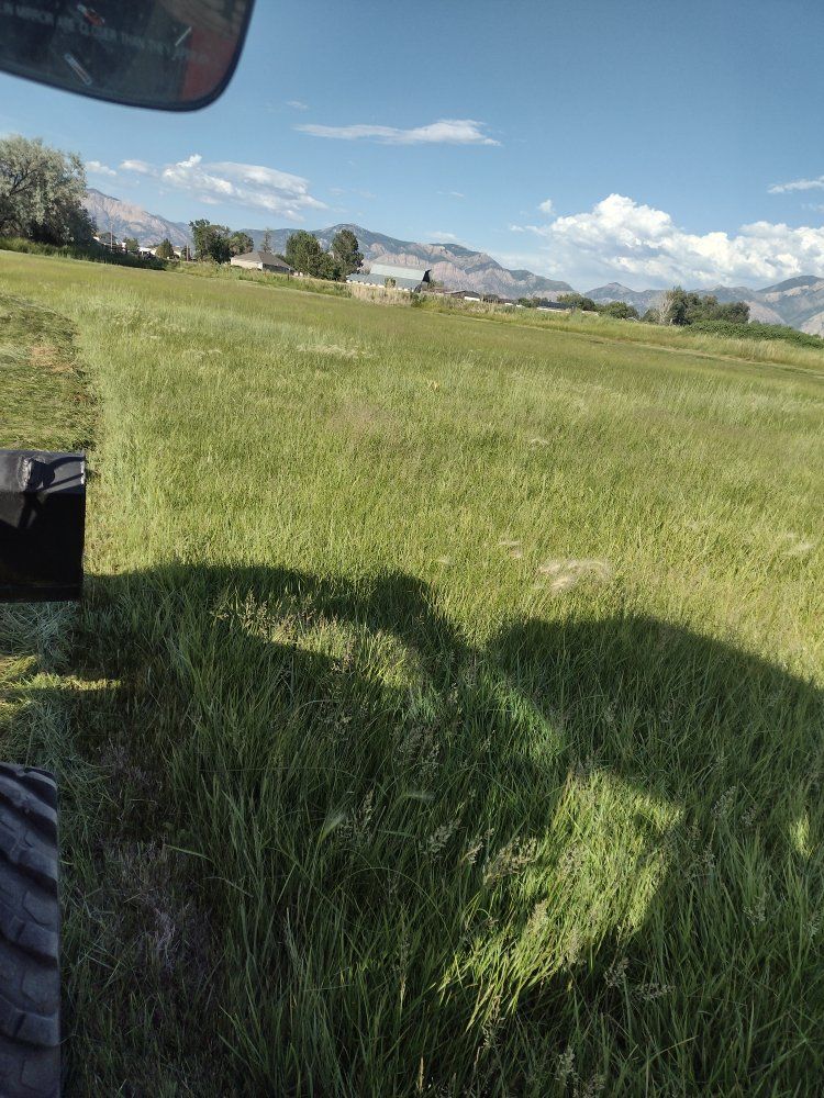 3x3x8 grass hay