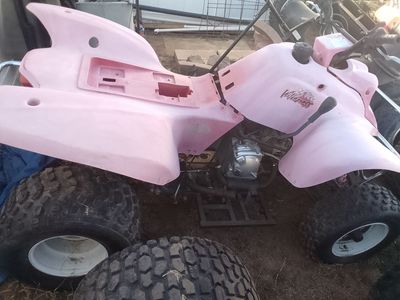 Pink Baja Wilderness 250cc ATV – non-running project, killer deal!