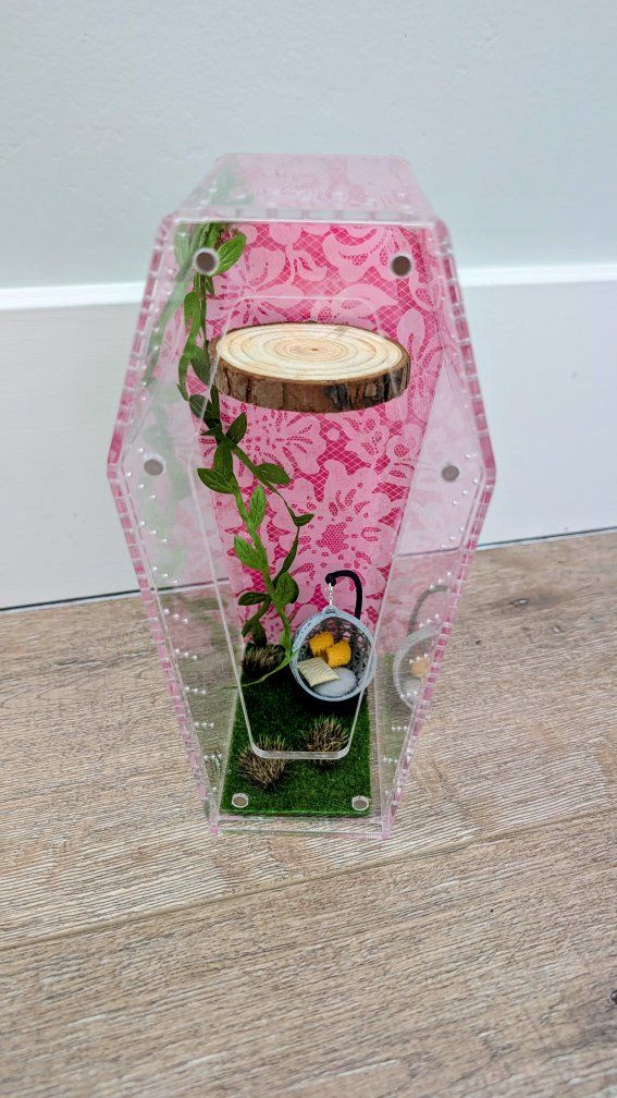Jumping spider enclosure, jumping spider terrarium, spider house, spider habitat. No spider