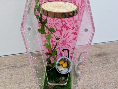 Jumping spider enclosure, jumping spider terrarium, spider house, spider habitat. No spider