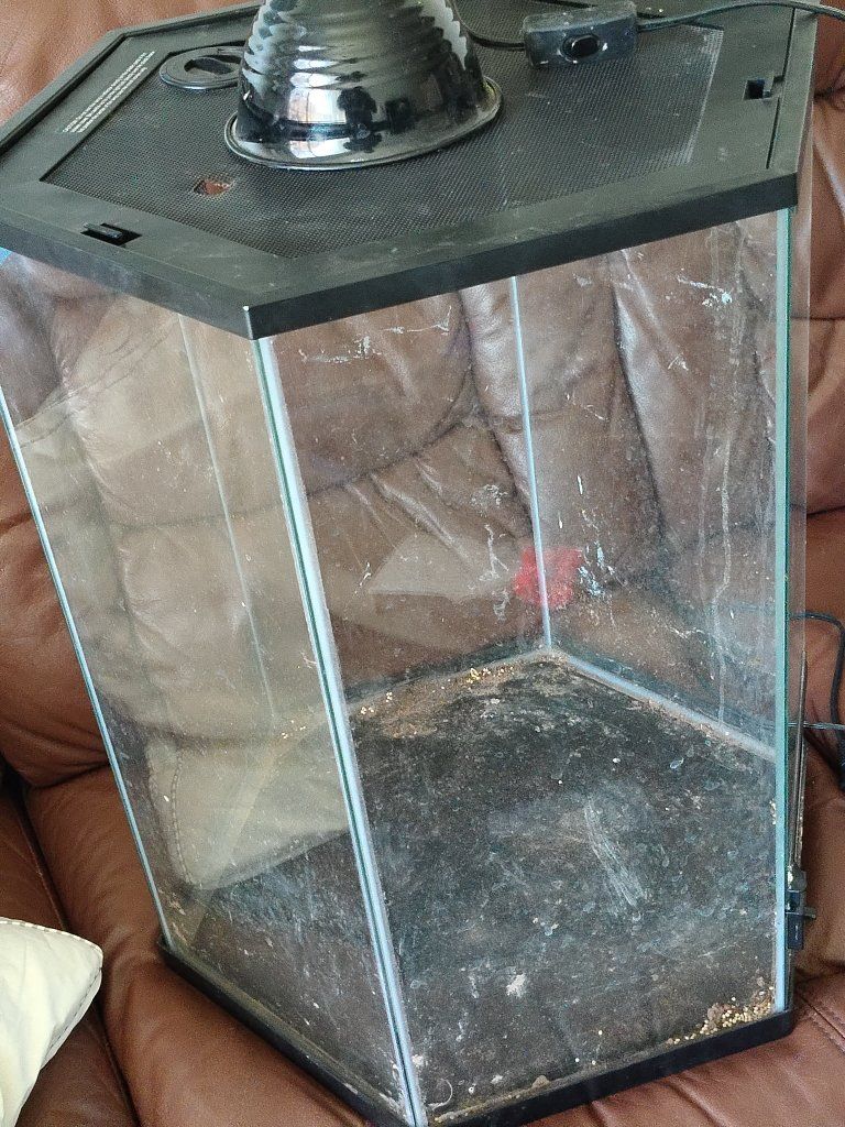 Hexagonal Glass Reptile Terrarium Tank with Screen Lid and Dome Light