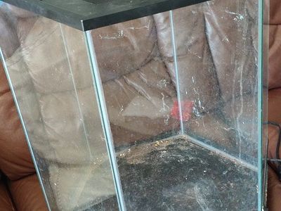 Hexagonal Glass Reptile Terrarium Tank with Screen Lid and Dome Light