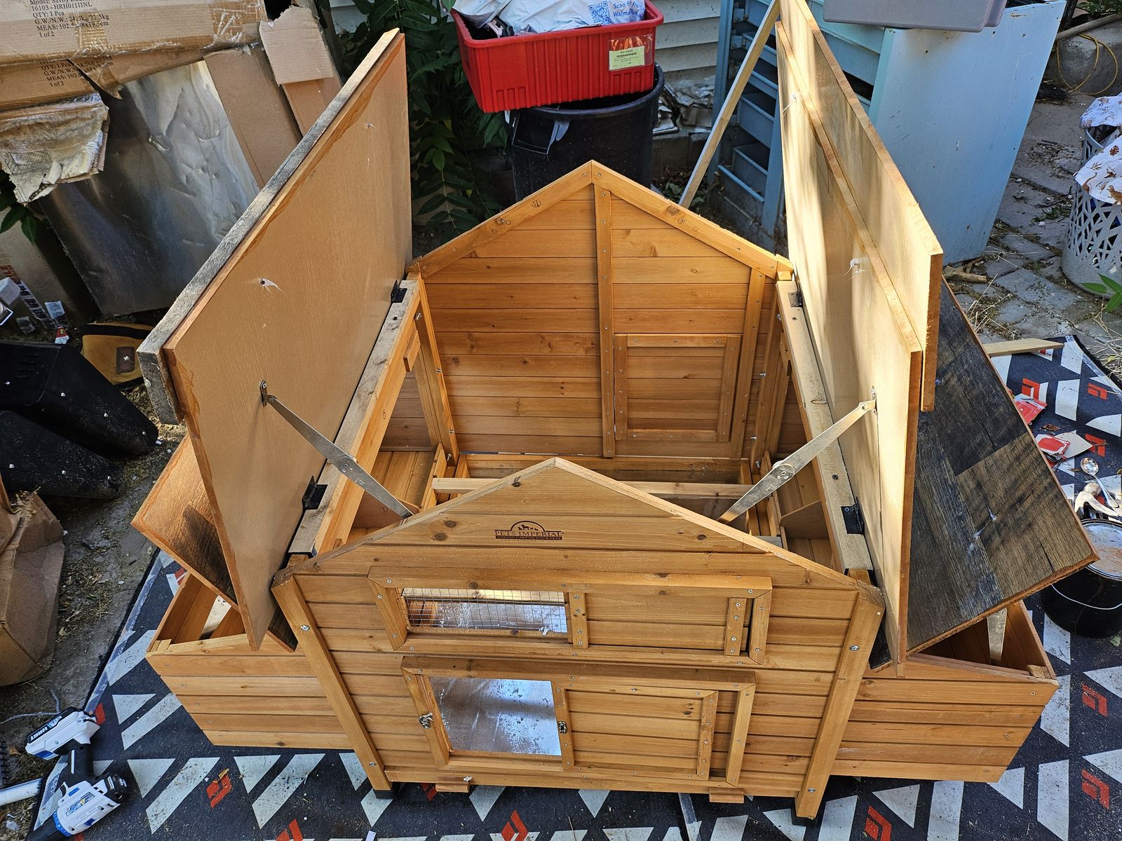 Main image 11