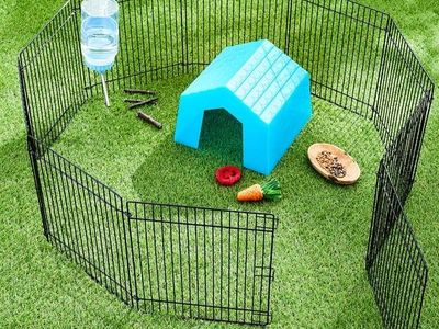 Small Animal Wire Playpen/Cage - Portable & Collapsable