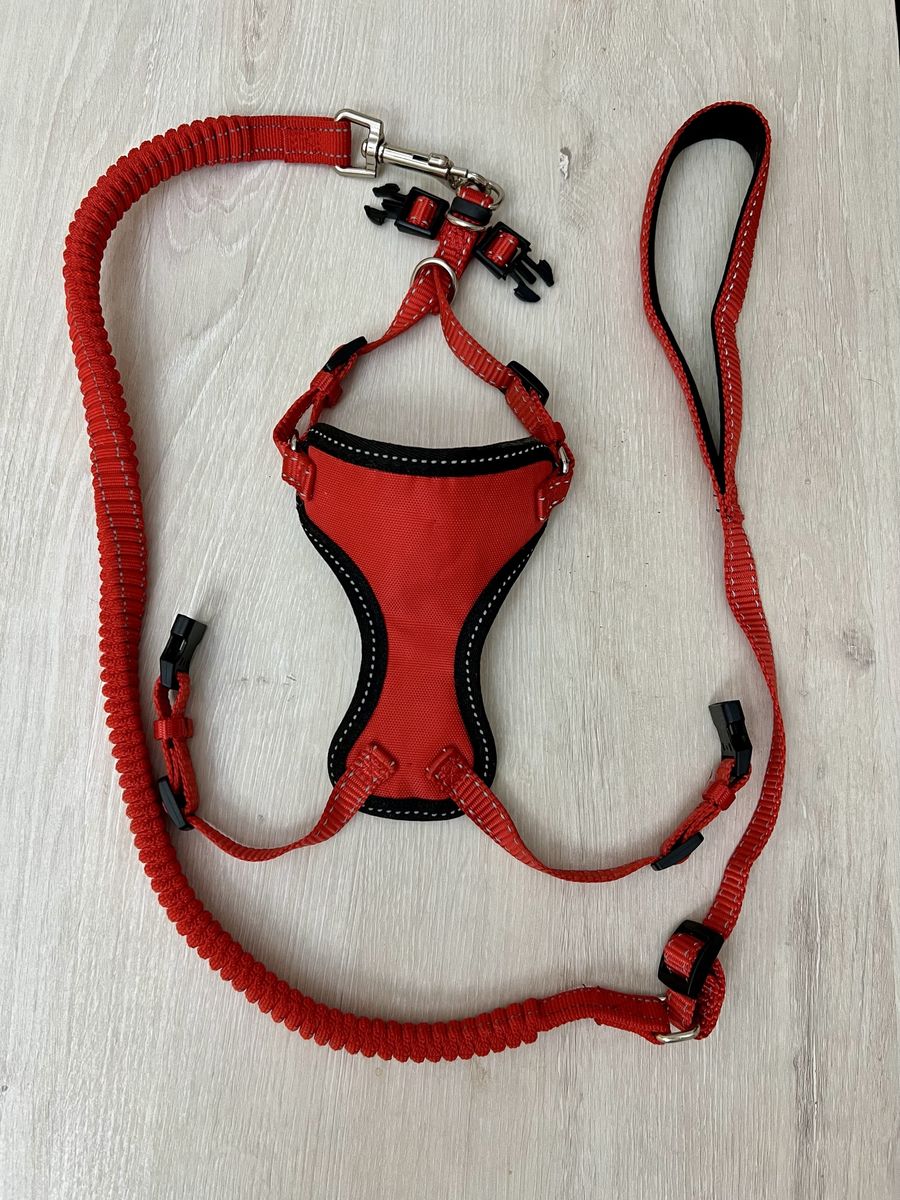 Cat Harness & Leash