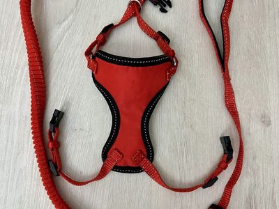 Cat Harness & Leash