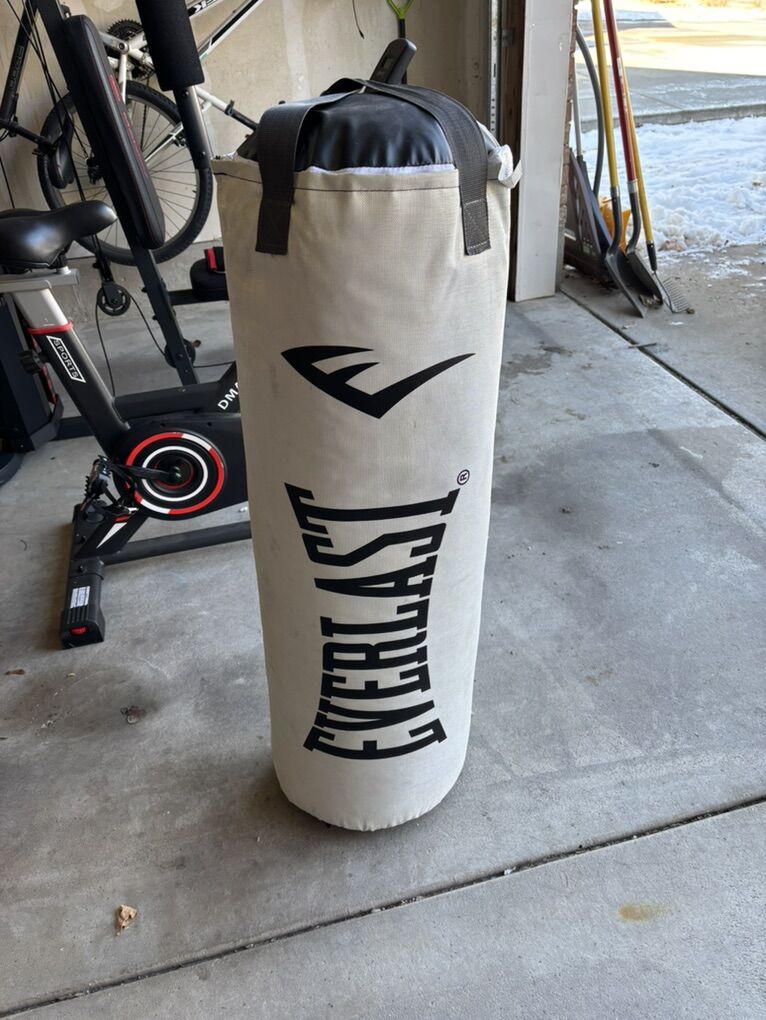 Everlast Punching Bag (65lbs)