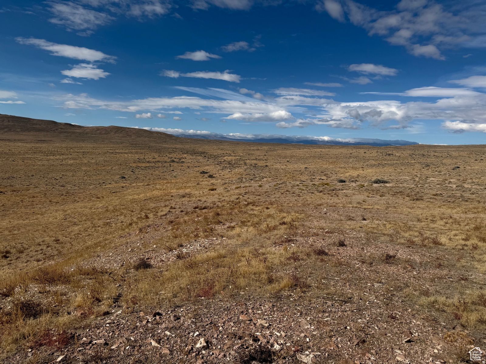 Main image 6