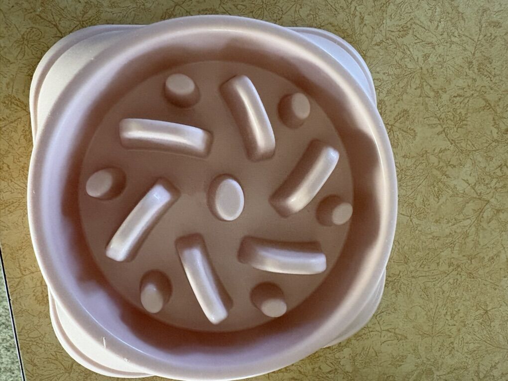 Slow Feeder Dog Bowl