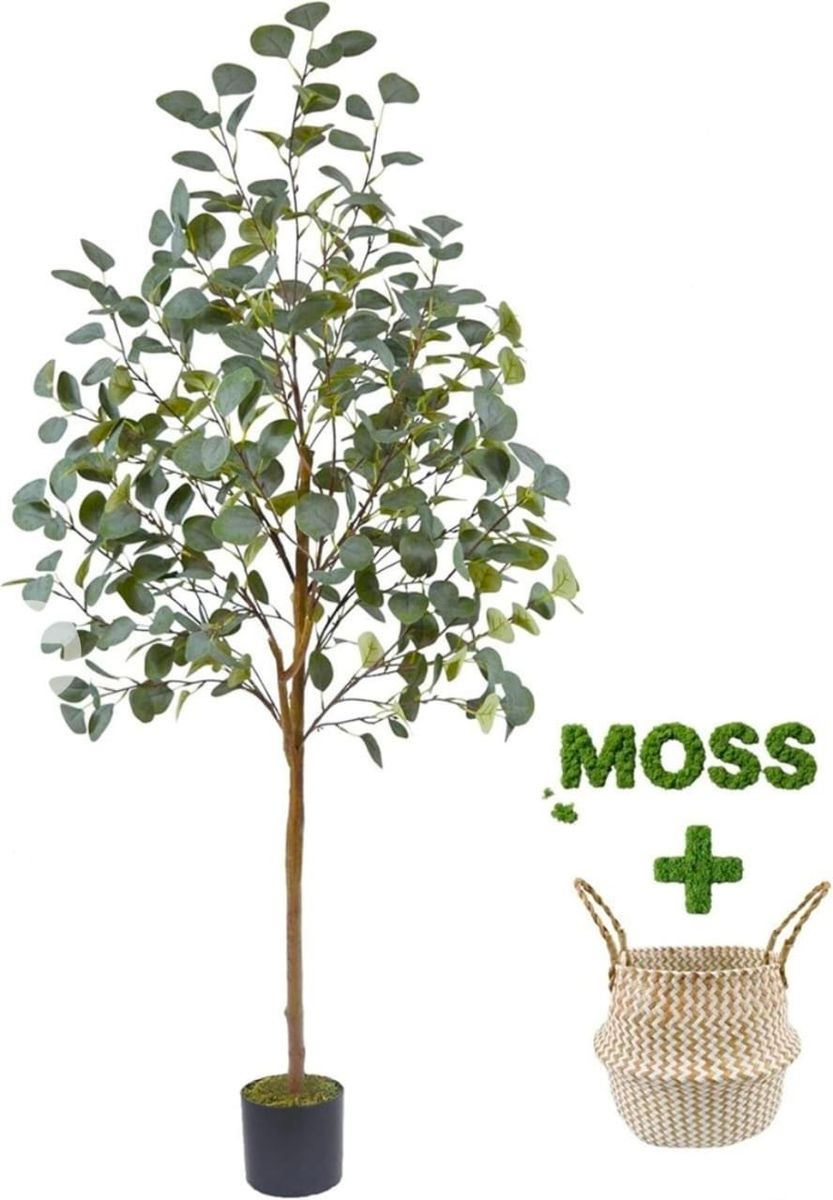 Main image 3