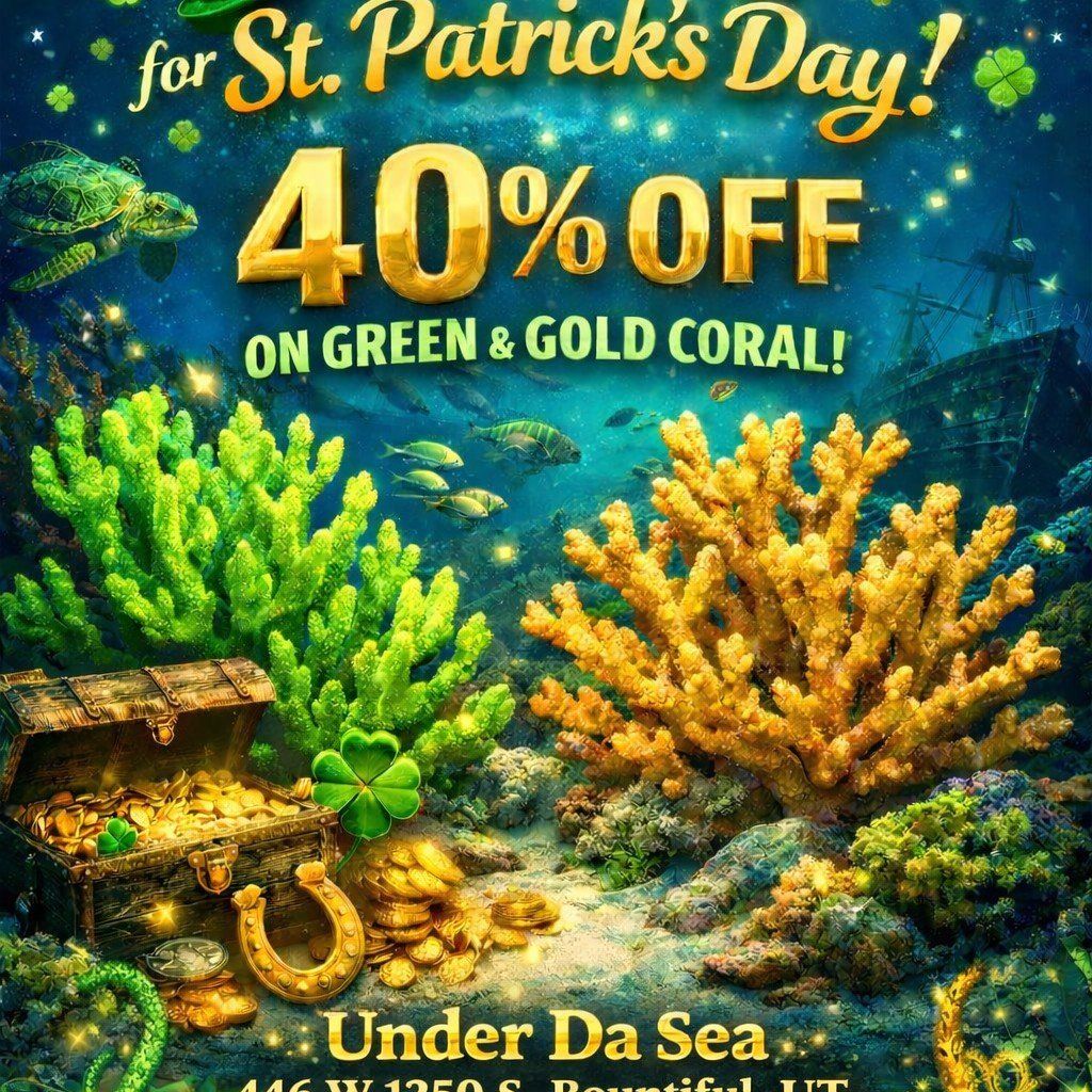 Coral sale