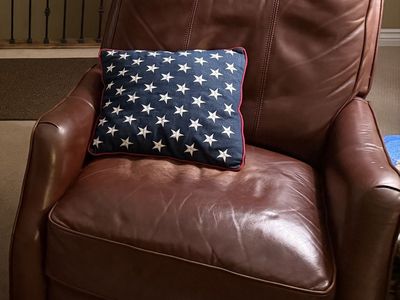 RECLINER CHAIR - $100