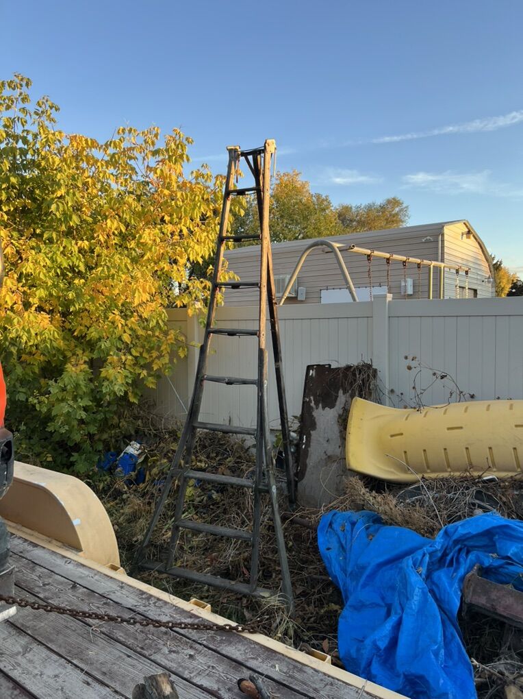 9 FOot Orchard Ladder