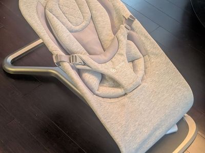 Ergobaby Grey Baby Bouncer Seat with Safety Harness