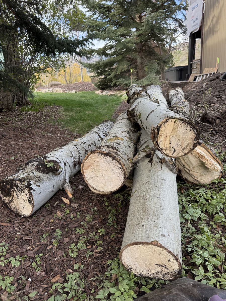 Free firewood for pickup near Park City