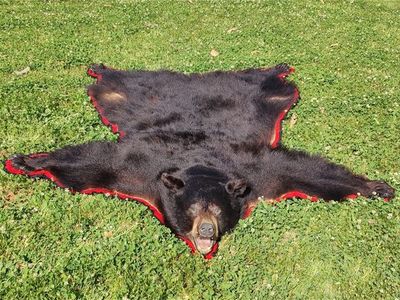 Alaskan Bear Rug