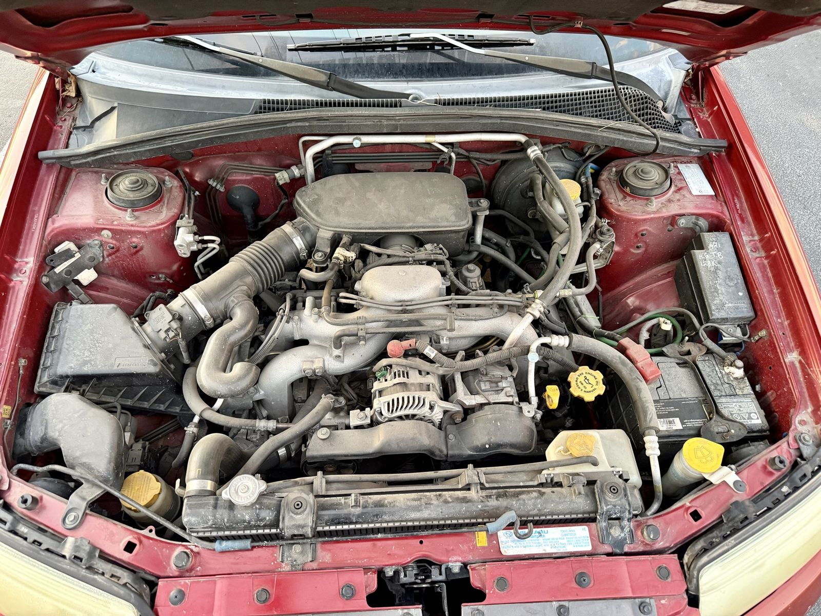 Main image 7