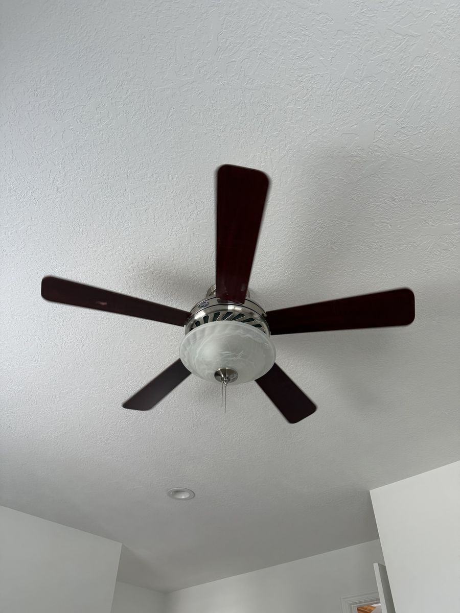 Ceiling Fan with Light Fixture Brushed Nickel and Dark Mahogany Wood Blades
